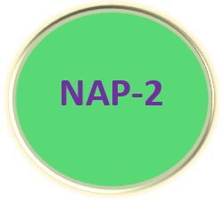 NAP-2