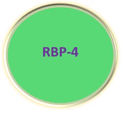 RBP4