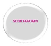 Secretagogin