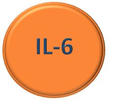 IL-6