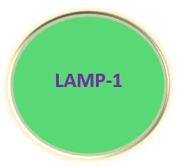 LAMP-1