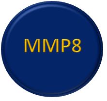 MMP8