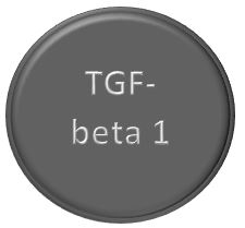 TGF-beta1
