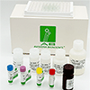AXL (AXL Receptor Tyrosine Kinase) (Soluble) (Human) ELISA Kit