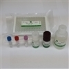 Myeloperoxidase (MPO) (Human) ELISA Kit