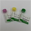 Cystatin C (Human) ELISA Kit (960T) (Urine, Serum, Plasma