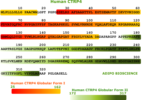 human ctrp4 protein sequence