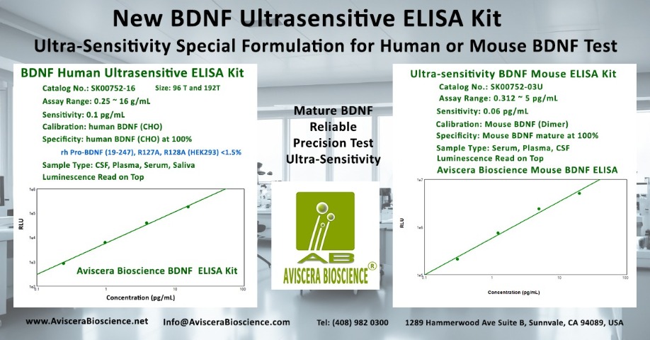 BDNF ELISA