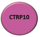 CTRP10