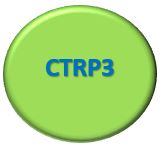 CTRP3