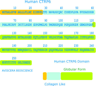 CTRP6