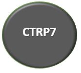 CTRP7