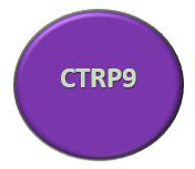 CTRP9