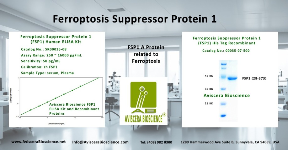 FSP1 