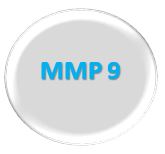 MMP9