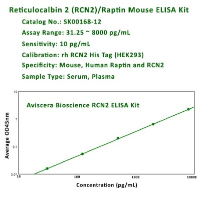 Raptin RCN2 ELISA Proteins