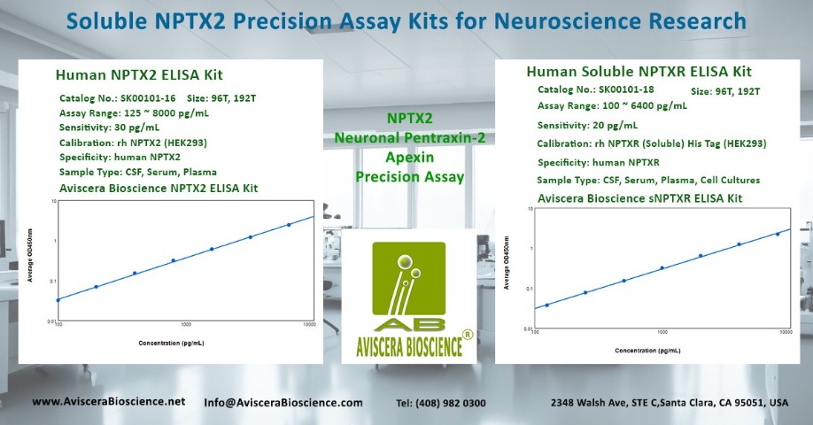 NPTX2 NPTXR PTX3 ELISA