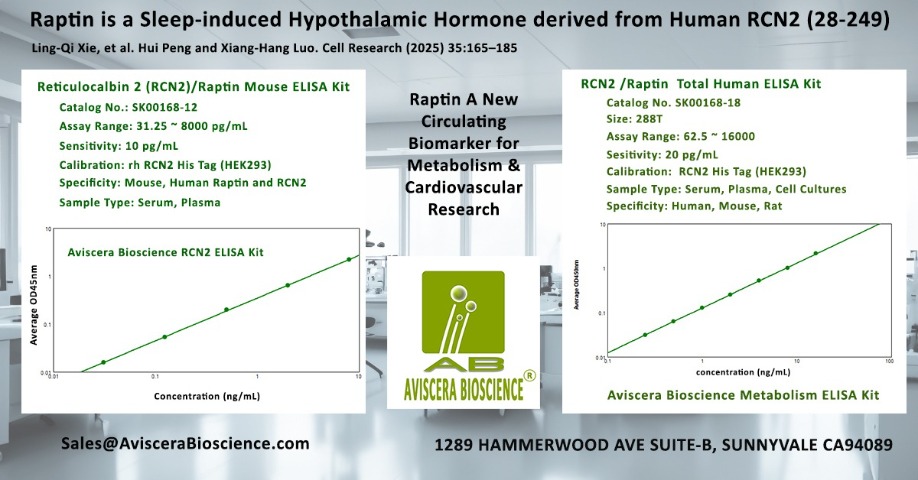 Raptin Protein ELISA 