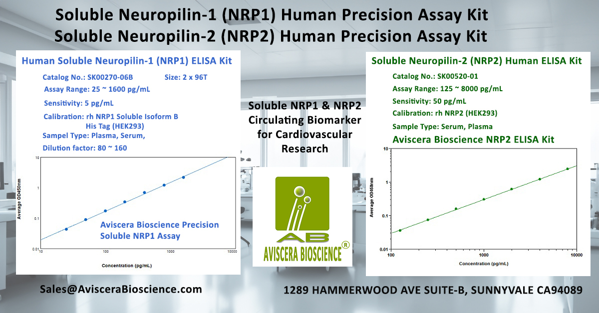 Soluble NRP2 ELISA Kit