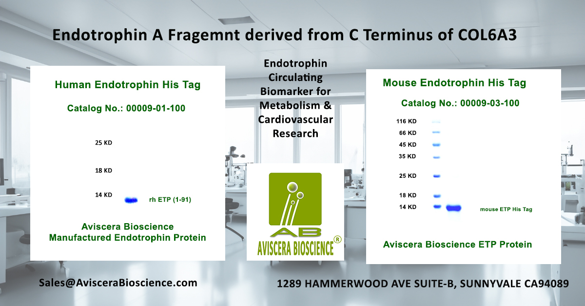 Endotrophin His Tag Protein